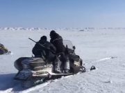Браконьеры «наследили»: видеокадры охоты на аргали стали достоянием общественности