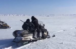 Браконьеры «наследили»: видеокадры охоты на аргали стали достоянием общественности