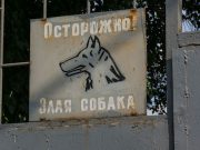 Следственное управление предупреждает владельцев собак об ответственности
