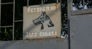 Следственное управление предупреждает владельцев собак об ответственности