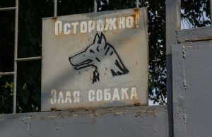 Следственное управление предупреждает владельцев собак об ответственности