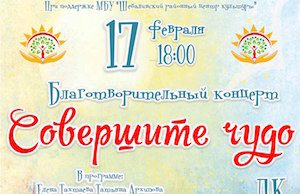 В Шебалино пройдет благотворительный концерт «Совершите чудо»