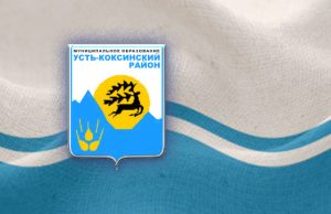 Кризис власти в Усть-Коксинском районе: райсовет стал неправомочным