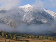 Региональные природные парки планируют передать на федеральный уровень