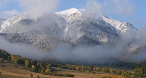 Региональные природные парки планируют передать на федеральный уровень