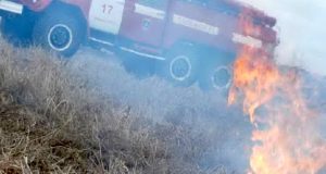 Первый в этом году природный пожар потушили в Горном Алтае