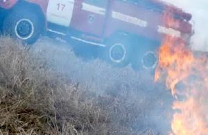 Первый в этом году природный пожар потушили в Горном Алтае
