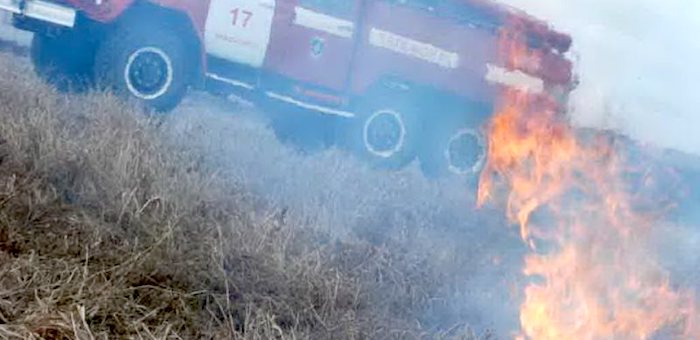 Первый в этом году природный пожар потушили в Горном Алтае