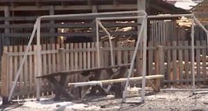 Ребенок в Узнезе почти ослеп из-за упавших на него футбольных ворот