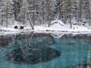 Горный Алтай занял второе место в рейтинге «Зеленого патруля»