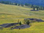 В Улагане пройдет уникальная фотовыставка, посвященная раскопкам в Пазырыке