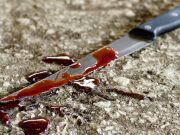 Жителя Горно-Алтайска будут судить за убийство друга