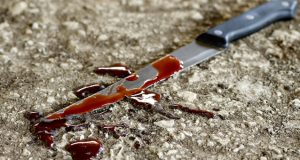 Жителя Горно-Алтайска будут судить за убийство друга
