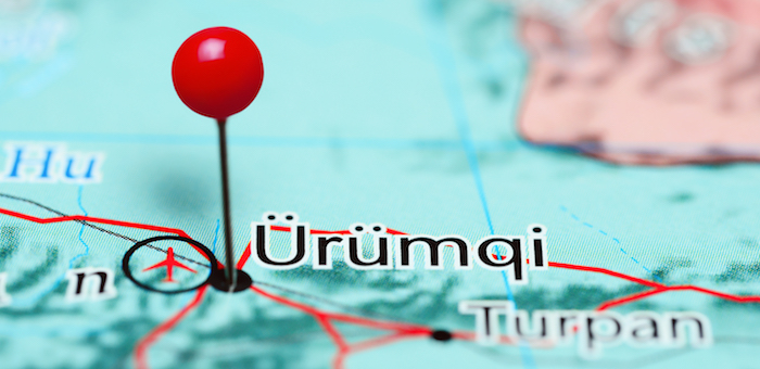 В Урумчи проходит заседание совета «Наш общий дом – Алтай»