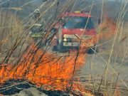 Два лесных пожара произошло на выходных в Горном Алтае