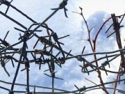 За групповое изнасилование жителей Усть-Канского района отправили в колонию