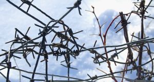 За групповое изнасилование жителей Усть-Канского района отправили в колонию