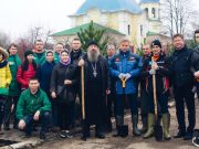 Саженцы алтайского кедра высадили в Москве
