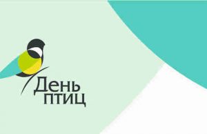 В Горно-Алтайске пройдет День птиц