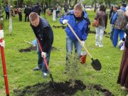 50 человек приняли участие в акции посадки леса