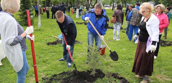 50 человек приняли участие в акции посадки леса