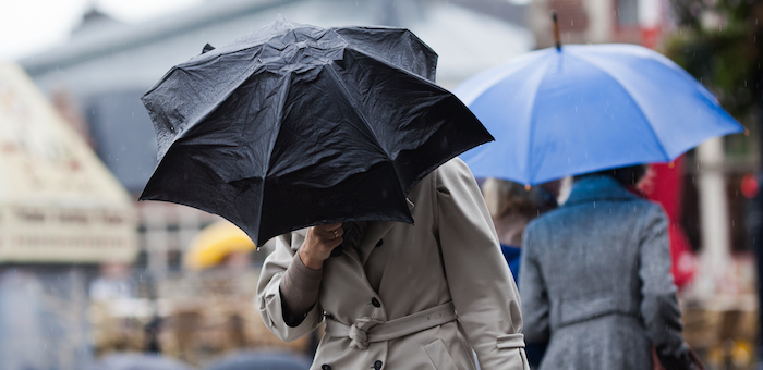 На Алтае объявлено штормовое предупреждение, ожидаются сильный дождь и ураганный ветер