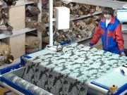 Магазин Vtkani.Ru предоставит самый шикарный выбор высококлассных мебельных тканей
