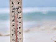 Сильная жара продержится на Алтае до конца июня
