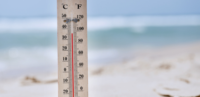 Сильная жара продержится на Алтае до конца июня