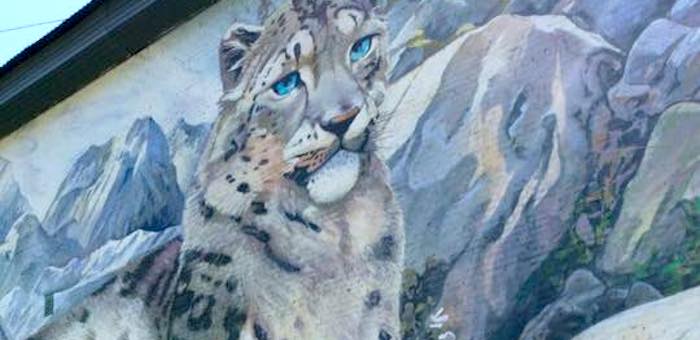 Фотофакт: Уникальный рисунок граффити появился на стене школы No1