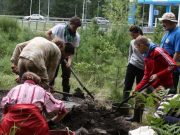 Археологи нашли на Алтае древнюю косторезную мастерскую майминцев