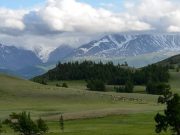 Начался прием работ на творческий конкурс, посвященный Году экологии