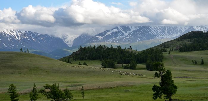 Начался прием работ на творческий конкурс, посвященный Году экологии