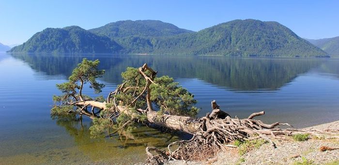 Совет Федерации утвердил рекомендации по сохранению Телецкого озера