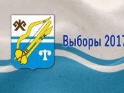 Девять самовыдвиженцев планируют принять участие в выборах депутатов горсовета
