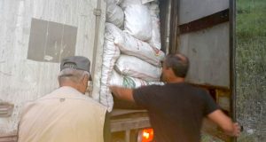 Более тонны незаконно добытых ценных растений изъяли пограничники у браконьеров