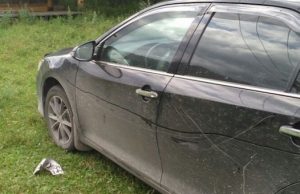 Туристы из Новосибирска не поделили автостоянку в Чемальском районе