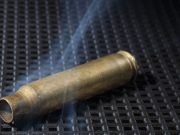 Массовый отстрел собак в Узнезе устроил 18-летний местный житель