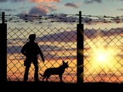 Несколько иностранных туристов нарушили на Алтае пограничные запреты
