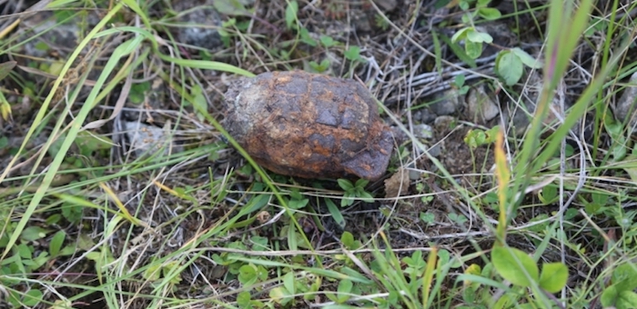 В Ильинке вместе с картофелем в огороде выкопали гранату