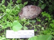 В Купчегене обезвредили найденную в огороде гранату времен первой мировой войны