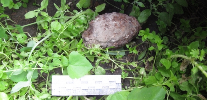 В Купчегене обезвредили найденную в огороде гранату времен первой мировой войны