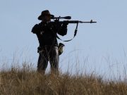 Браконьеры перестреляли козерогов в заказнике