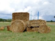 Кормозаготовительная кампания завершается в Горном Алтае