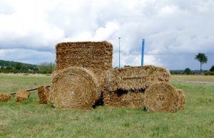 Кормозаготовительная кампания завершается в Горном Алтае