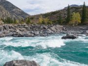 Двух туристов унесло течением в Катунь в Онгудайском районе Двух туристов унесло течением в Катунь в Онгудайском районе