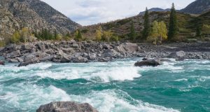 Двух туристов унесло течением в Катунь в Онгудайском районе