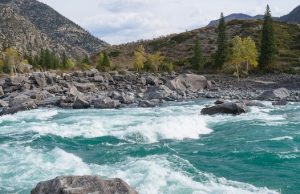 Двух туристов унесло течением в Катунь в Онгудайском районе