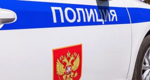 19-летняя девушка жестоко избила гулявшую в парке горожанку