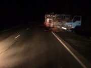 Два пешехода погибли в ДТП на минувших выходных